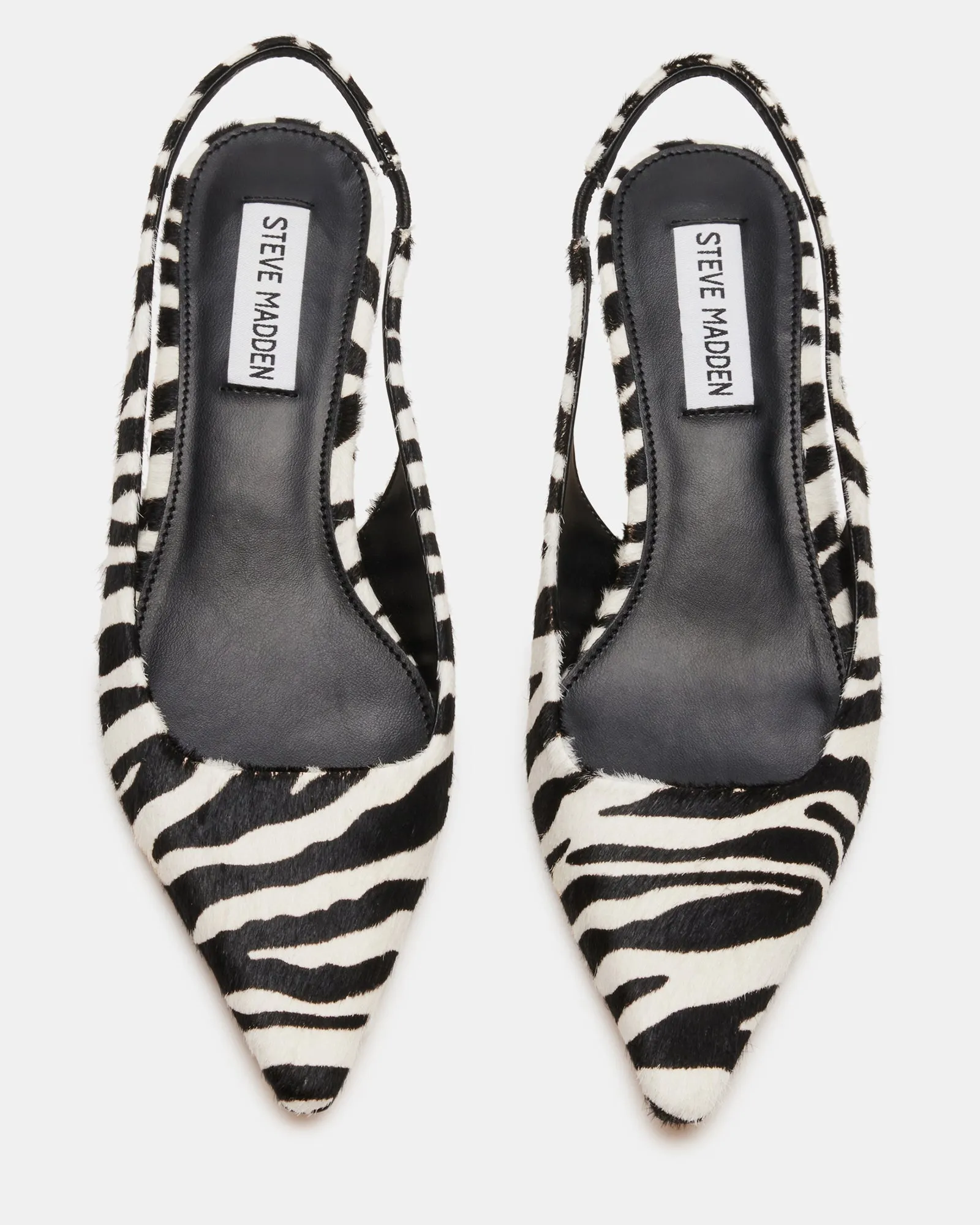 KARI-Z ZEBRA